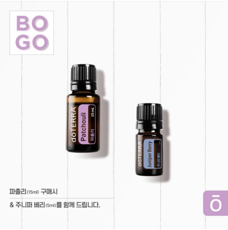 5day향 이미지