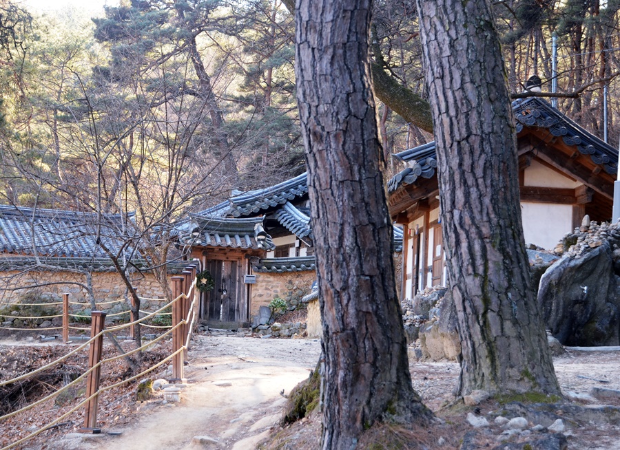 요수정 이미지
