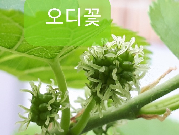 군위슈퍼 이미지