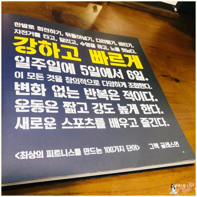 크로스핏터틀 이미지