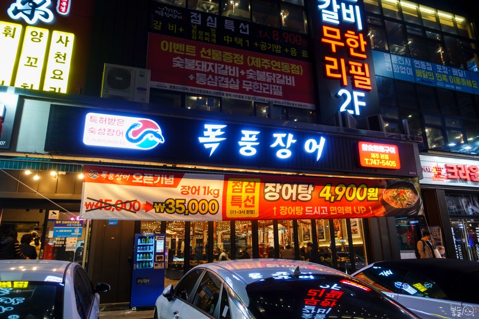 폭풍장어 이미지