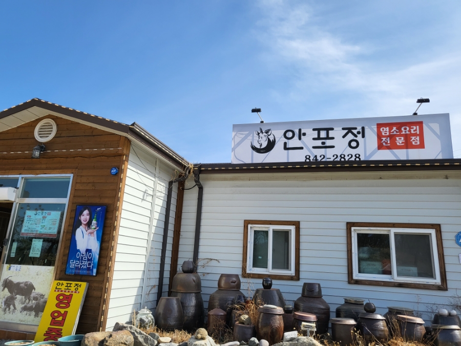 안포정 이미지