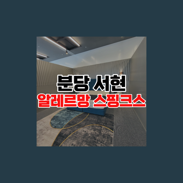 분당알레르망 이미지