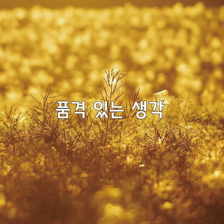 주식회사 진심 이미지