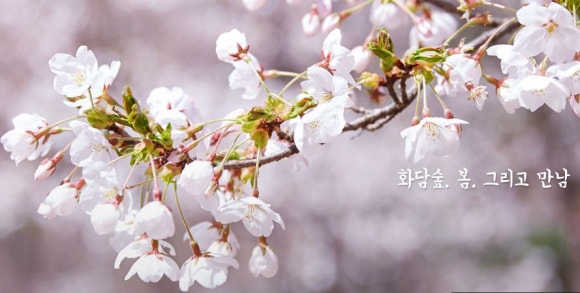 화담펜션 이미지