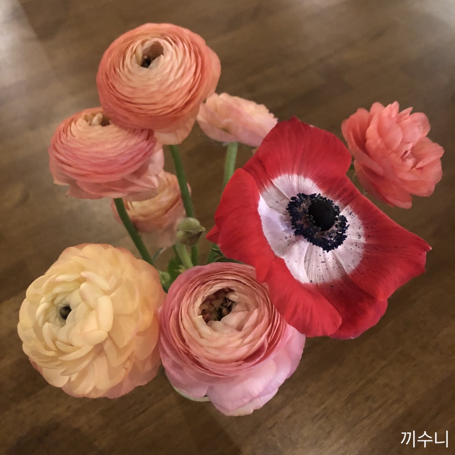 화란커피숍 이미지