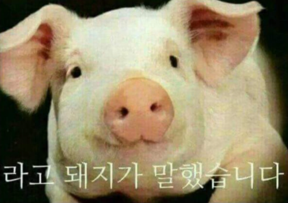 나루키친 이미지