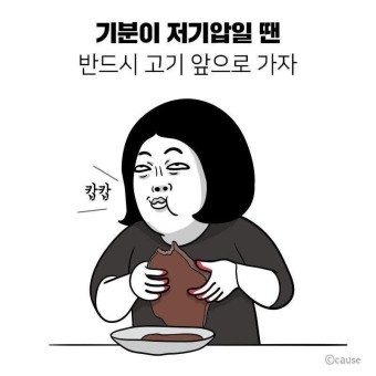솔직한우 이미지