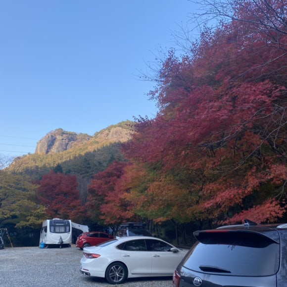 백양사세탁소 이미지