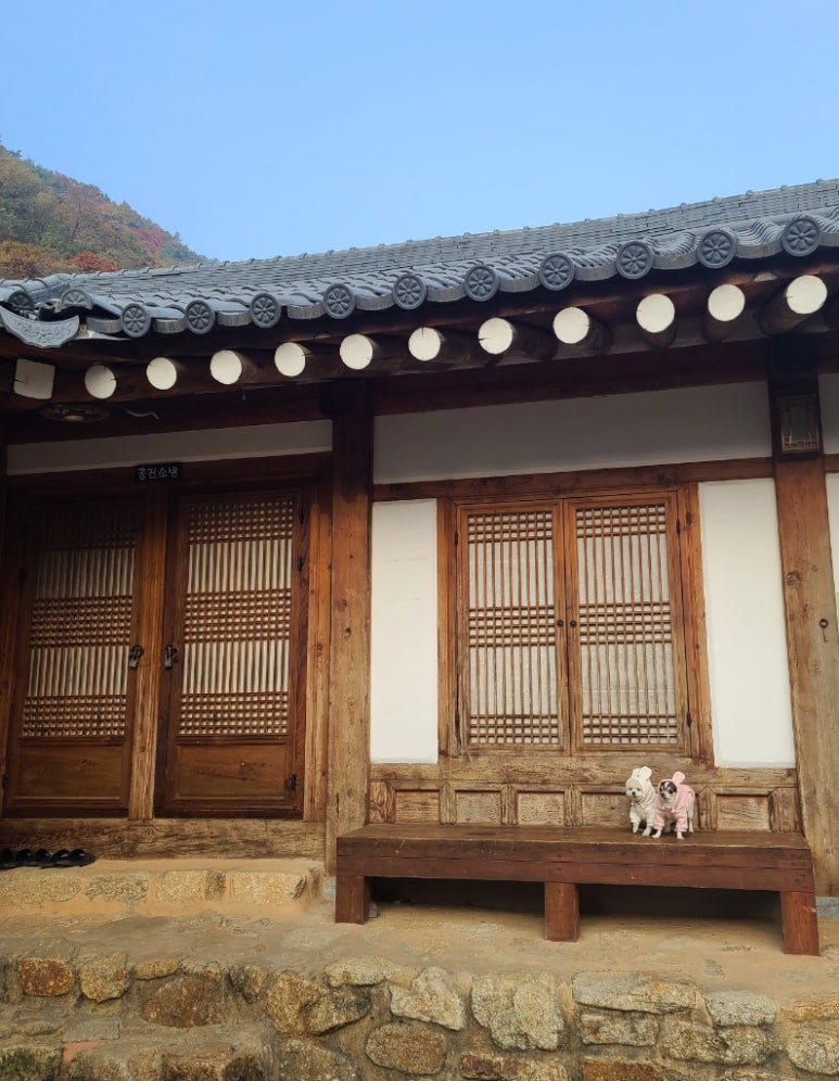 단양충전소 이미지