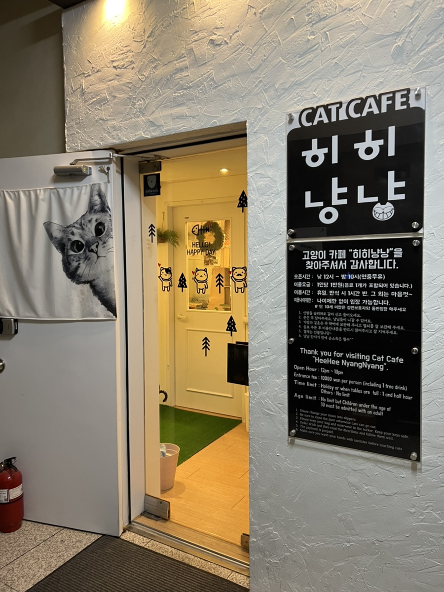 히히냥냥 이미지