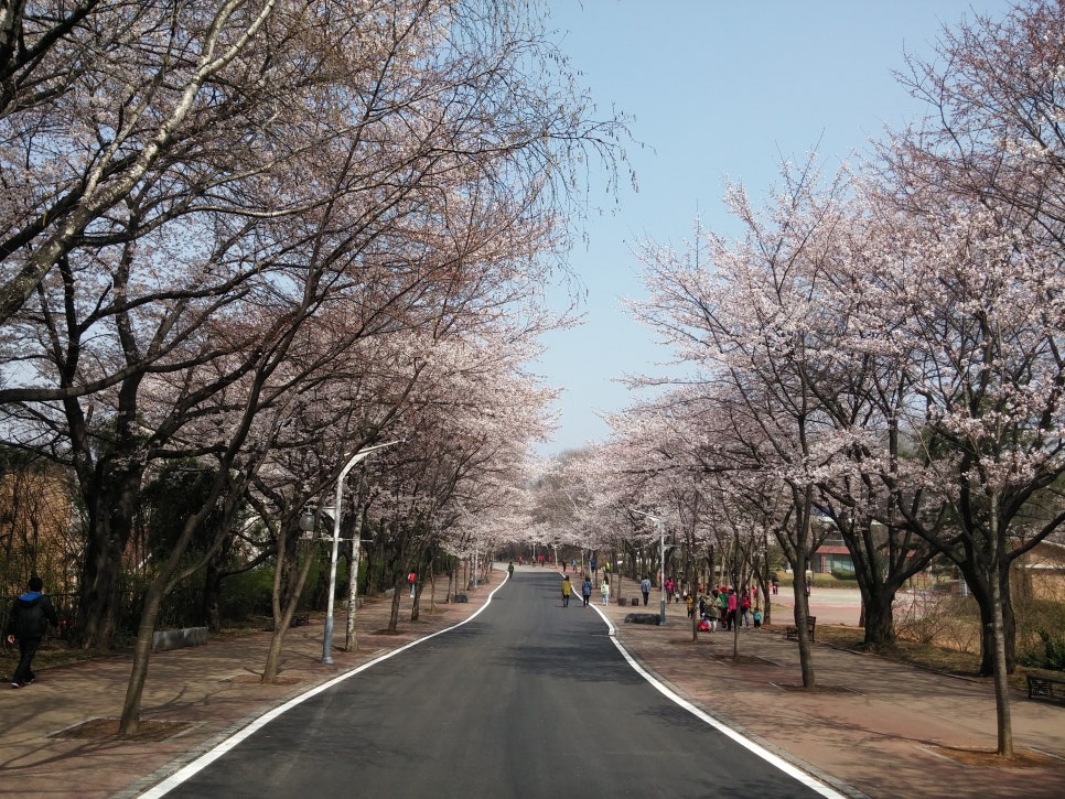 SK인천석유화학(주) 이미지