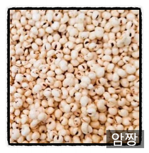 청정하모니협동조합 이미지