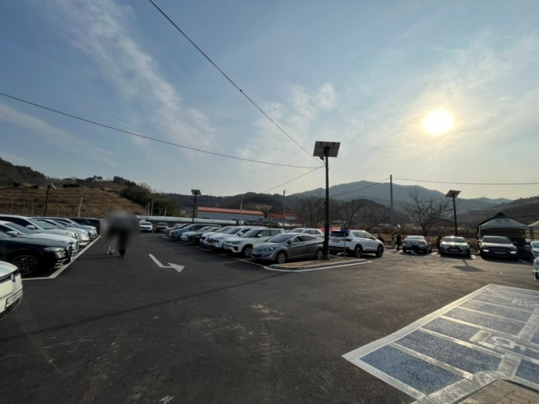 윌로우반곡247 이미지