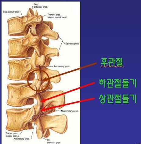 려한의원 이미지
