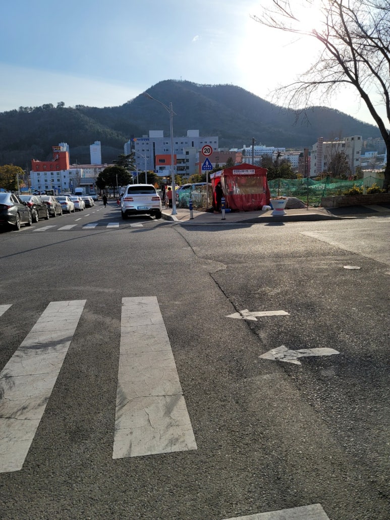시온청과 이미지