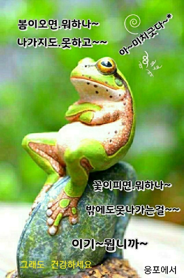 올가드림뷰티 이미지