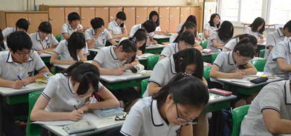 청담나무아카데미 이미지