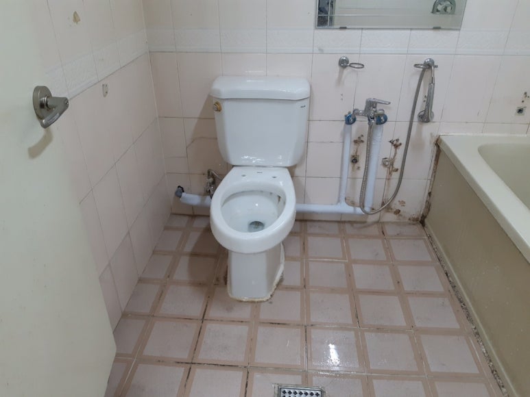 일산그레디 이미지
