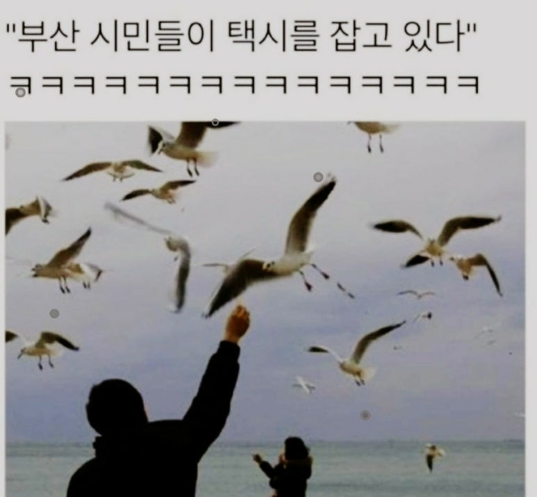 파크킹 이미지