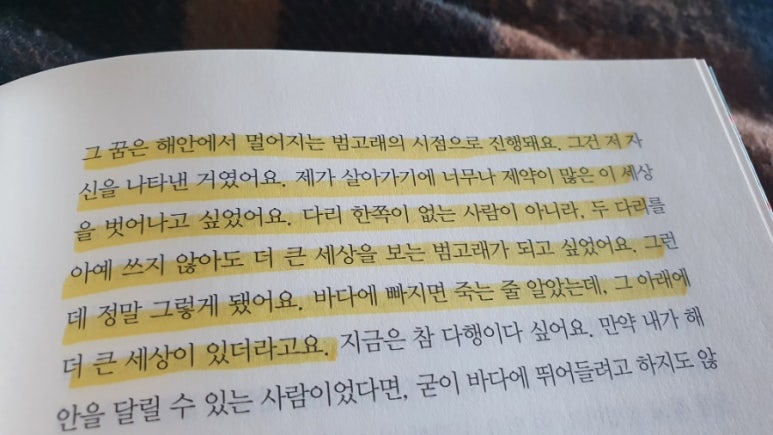 와와랜드 이미지