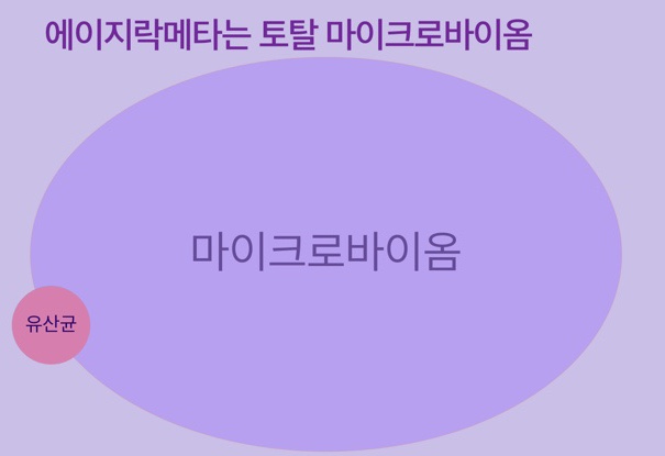 메타론칭 이미지