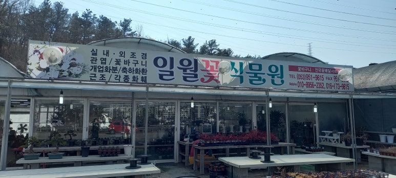 일월꽃식물원 이미지