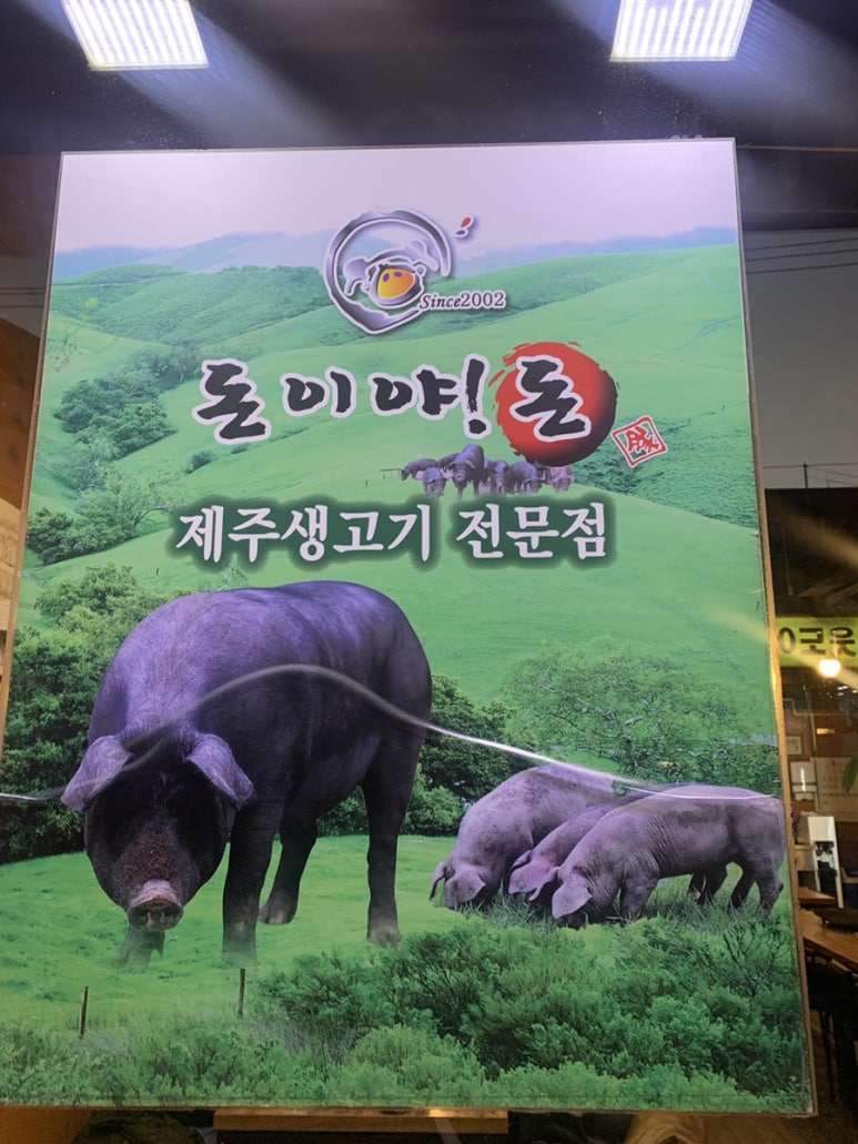 돈이야돈 이미지