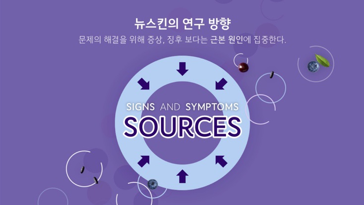 메타론칭 이미지