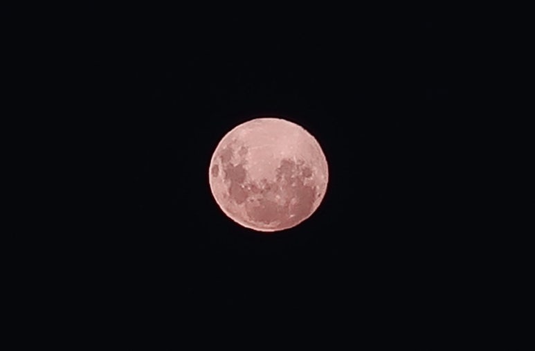 뭄바 이미지