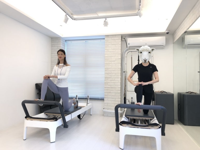 이솝필라테스 이미지