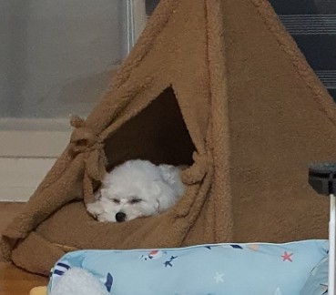 까꿍미용실 이미지