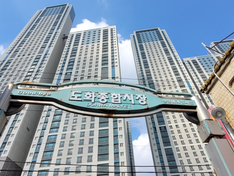 도화종합개발 이미지