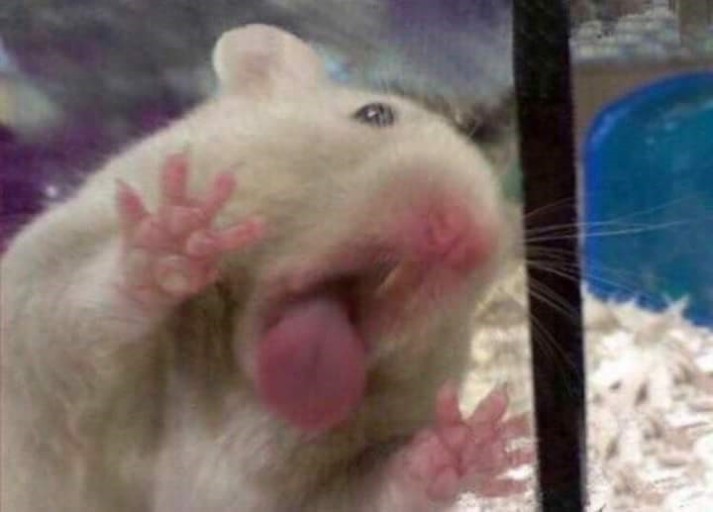 찍 이미지