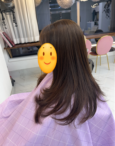 아르빈헤어 이미지