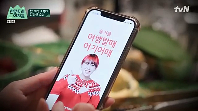 한라산리조트 이미지