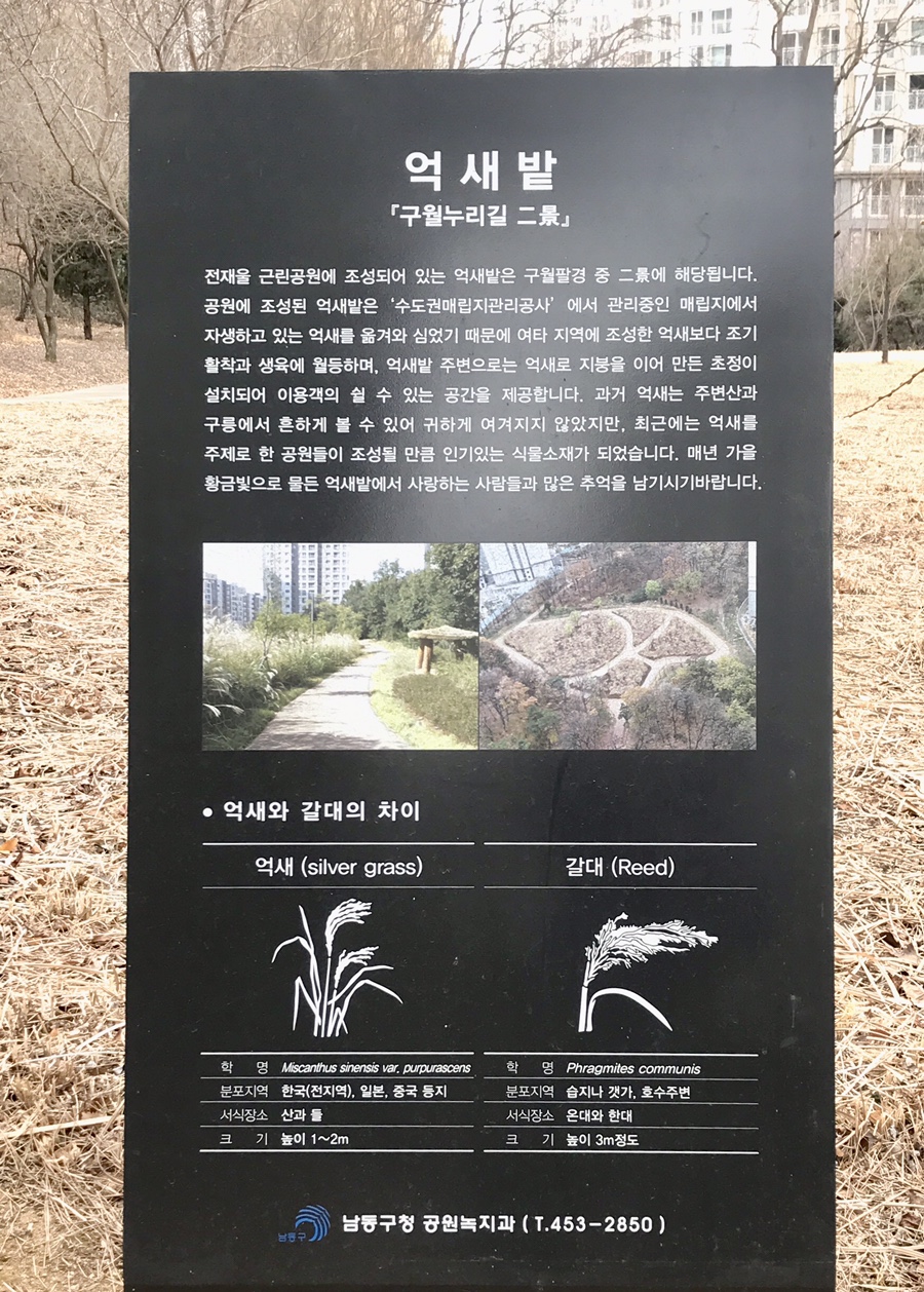전재울근린공원 유아숲체험원 이미지