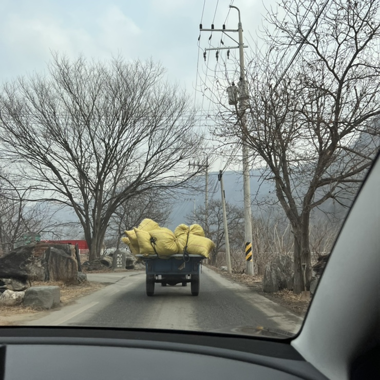 읍내리 75-1 캠핑장 이미지