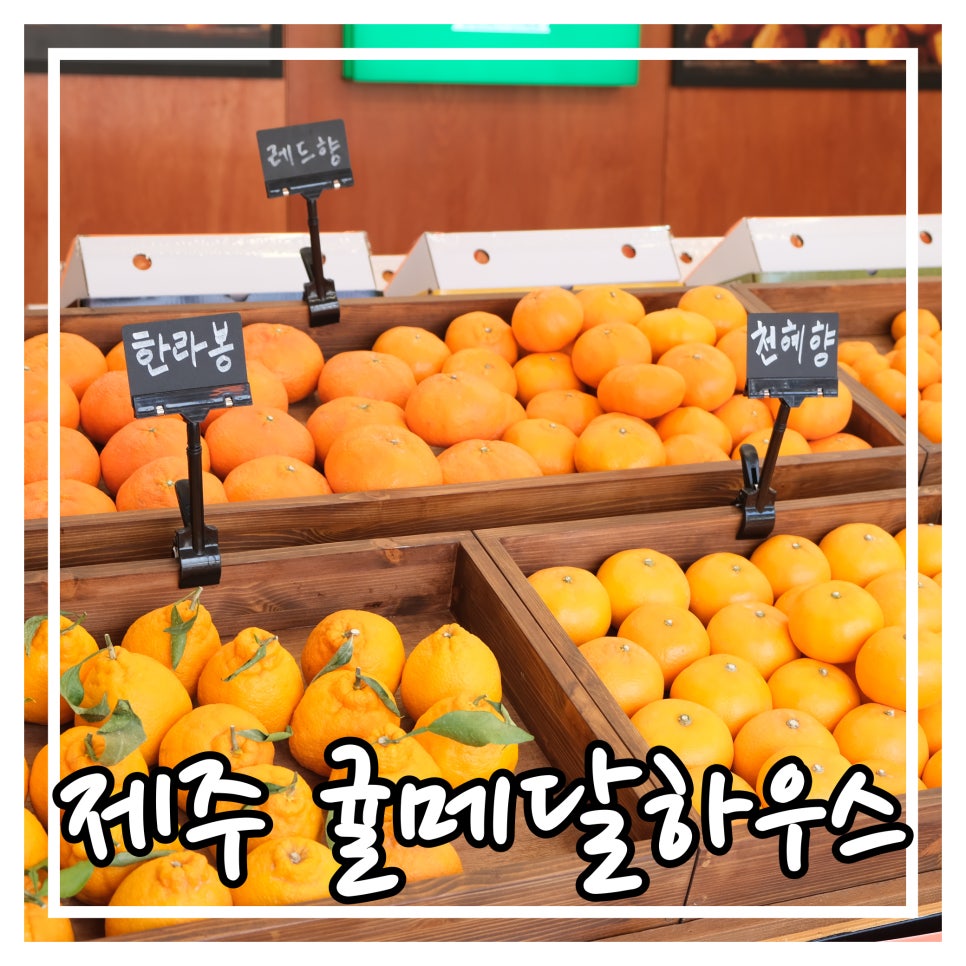 귤메달하우스 이미지