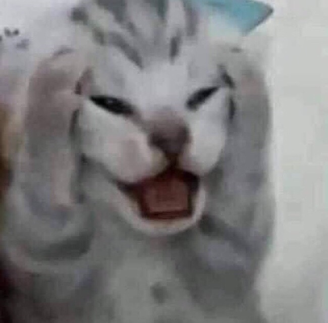 칠성기획이벤트 이미지