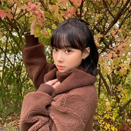 베리헤어 이미지