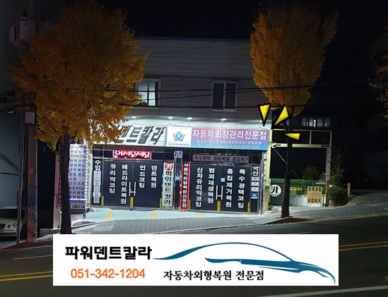 현대덴트칼라 이미지