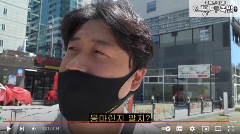 샐피 이미지