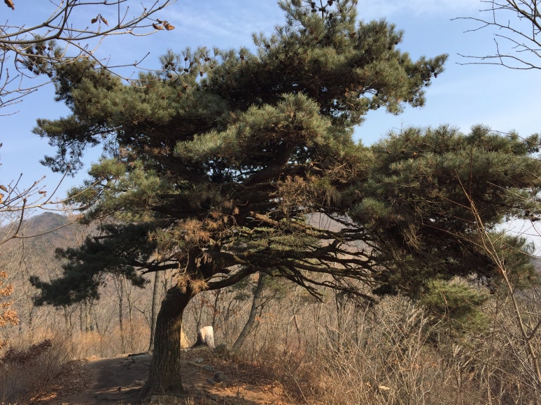 대구 파계사 원당봉산표석 이미지