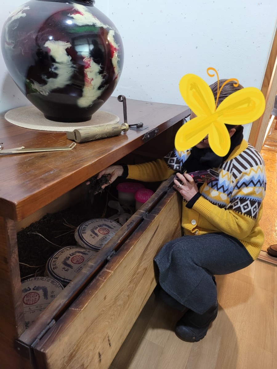 오행다원 이미지