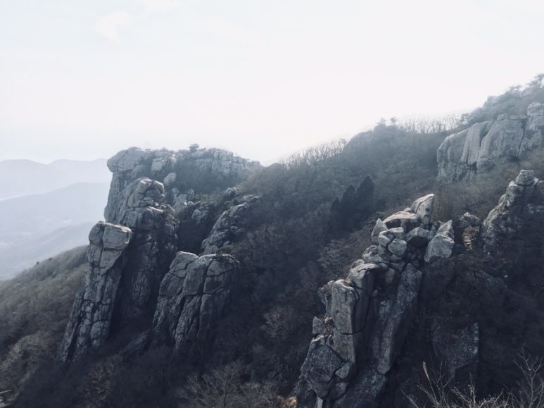 천지인상사 이미지