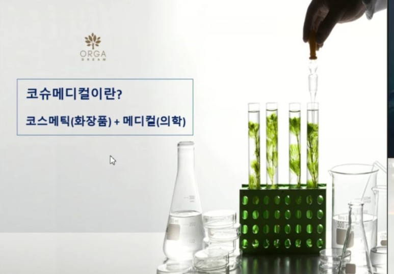 올가라인 이미지