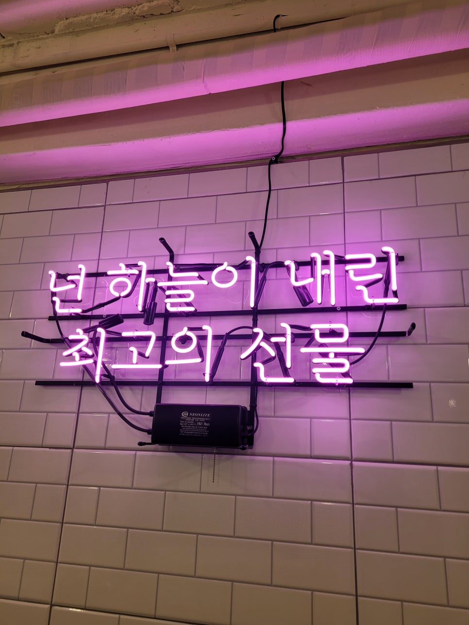 비상식탁 이미지