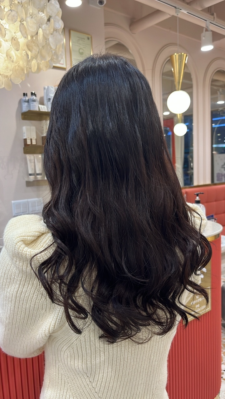 샹델 이미지