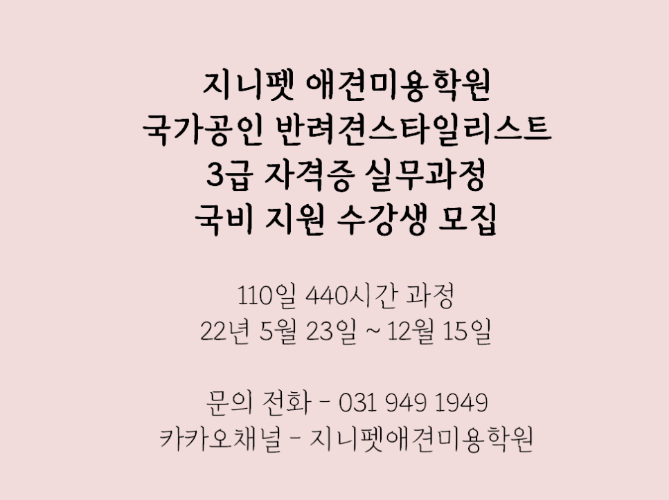 지니펫애견미용학원 이미지